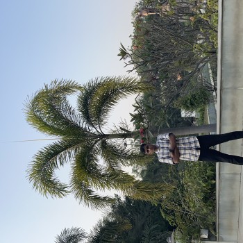 Full body shot 2